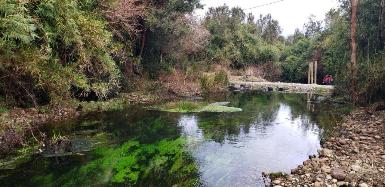 Cabanas P Y R Los Canelos Hornopiren Dış mekan fotoğraf
